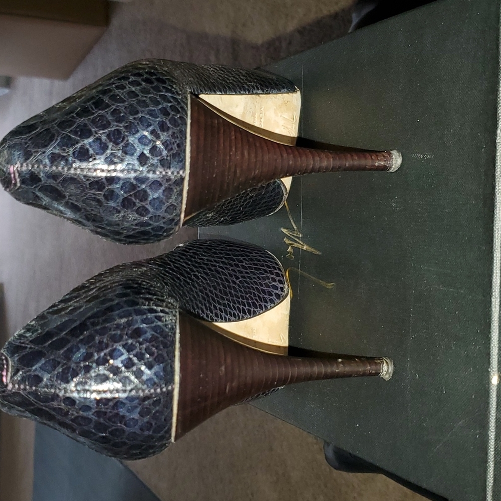 Giuseppe Zanotti Python Pumps - image 3